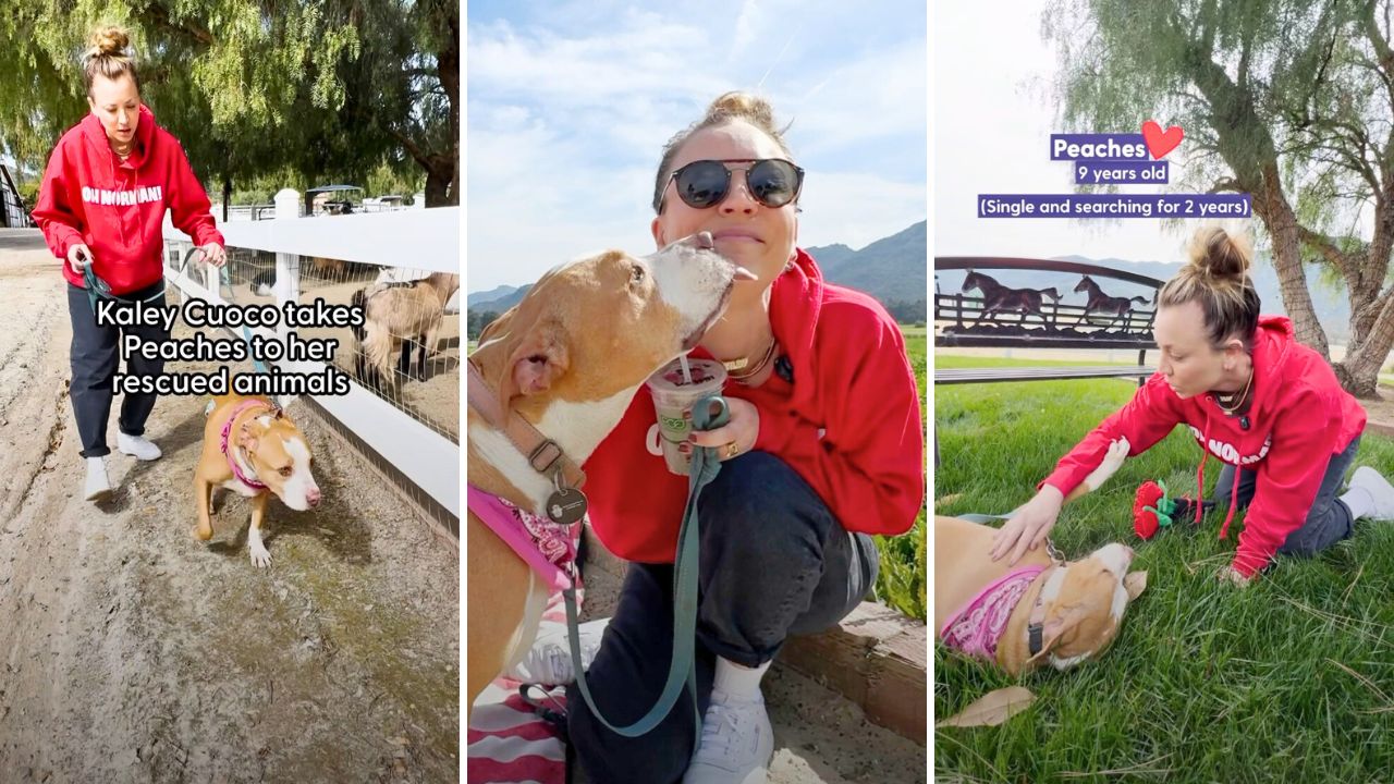 Kaley Cuoco Takes an Adoptable Pitbull for a Date Around Her Rescue Animal Ranch