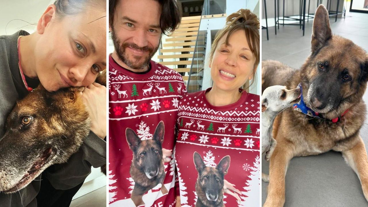 Kaley Cuoco and Tom Pelphrey Post Emotional Tributes to Blue, the Third Rescue Dog They’ve Lost in a Year