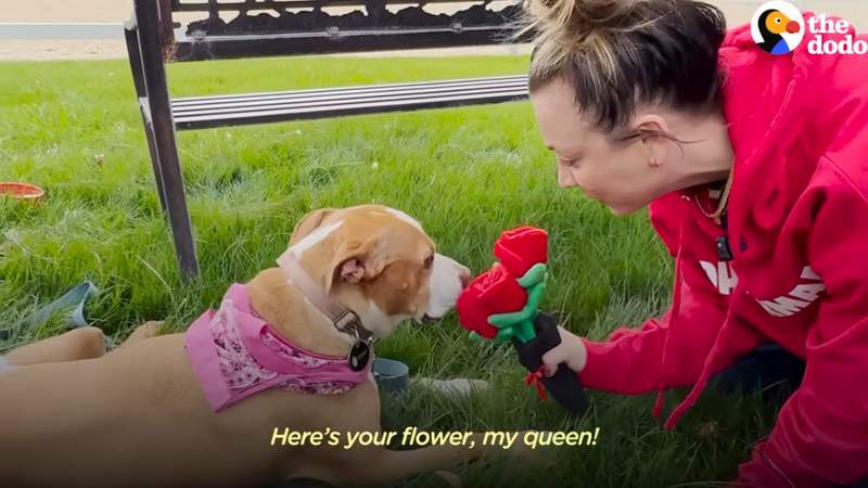 Kaley Cuoco goes on dodo dream date with peaches the pitbull