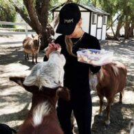 Kaley Cuoco's pet Rescue Animal Ranch