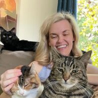 Kari Wahlgren's pet Cats