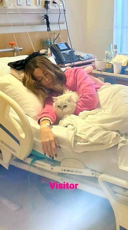 Kate Beckinsale cat Willow hospital visit