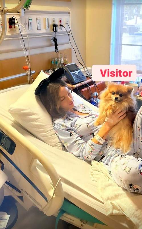 Kate Beckinsale dog MYF hospital visit