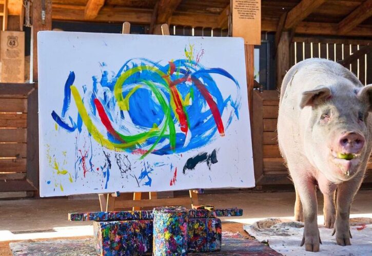 Pigcasso, the Famous Pig Painter Who Raised Over $1 Million, Has Passed Away
