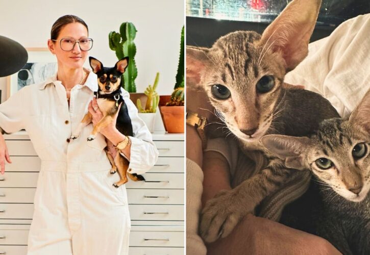 ‘Real Housewives’ Star Jenna Lyons Introduces Her Unique New Kitties