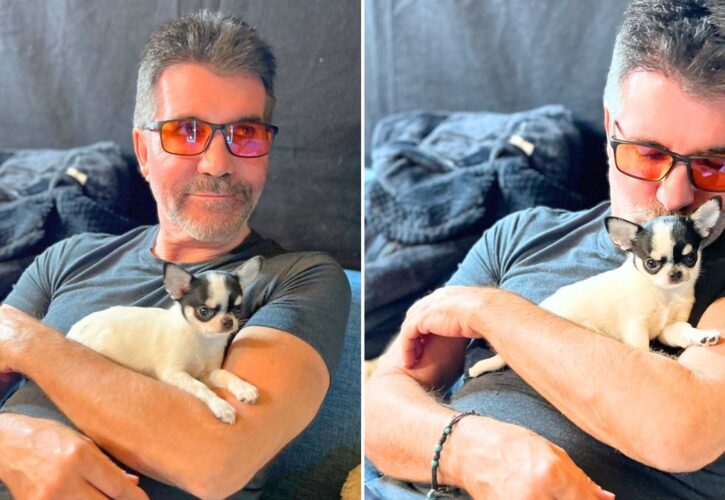 Simon Cowell Reveals His Sixth Dog (Just Two Months After His Last Adoption)