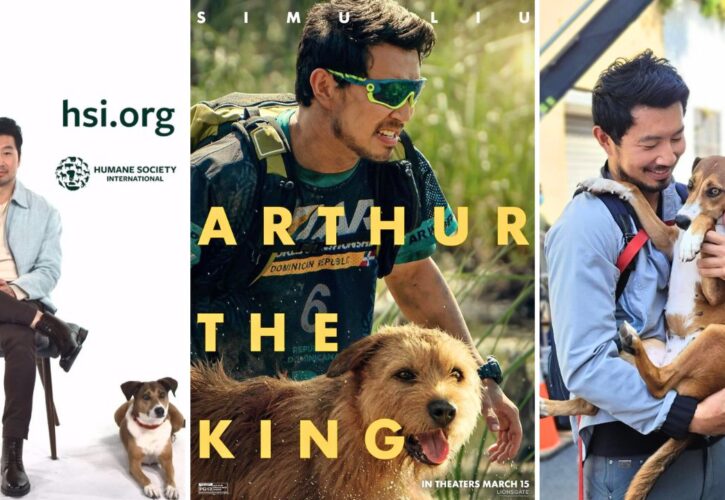 Simu Liu Adopted a Background Dog Actor from ‘Arthur the King’