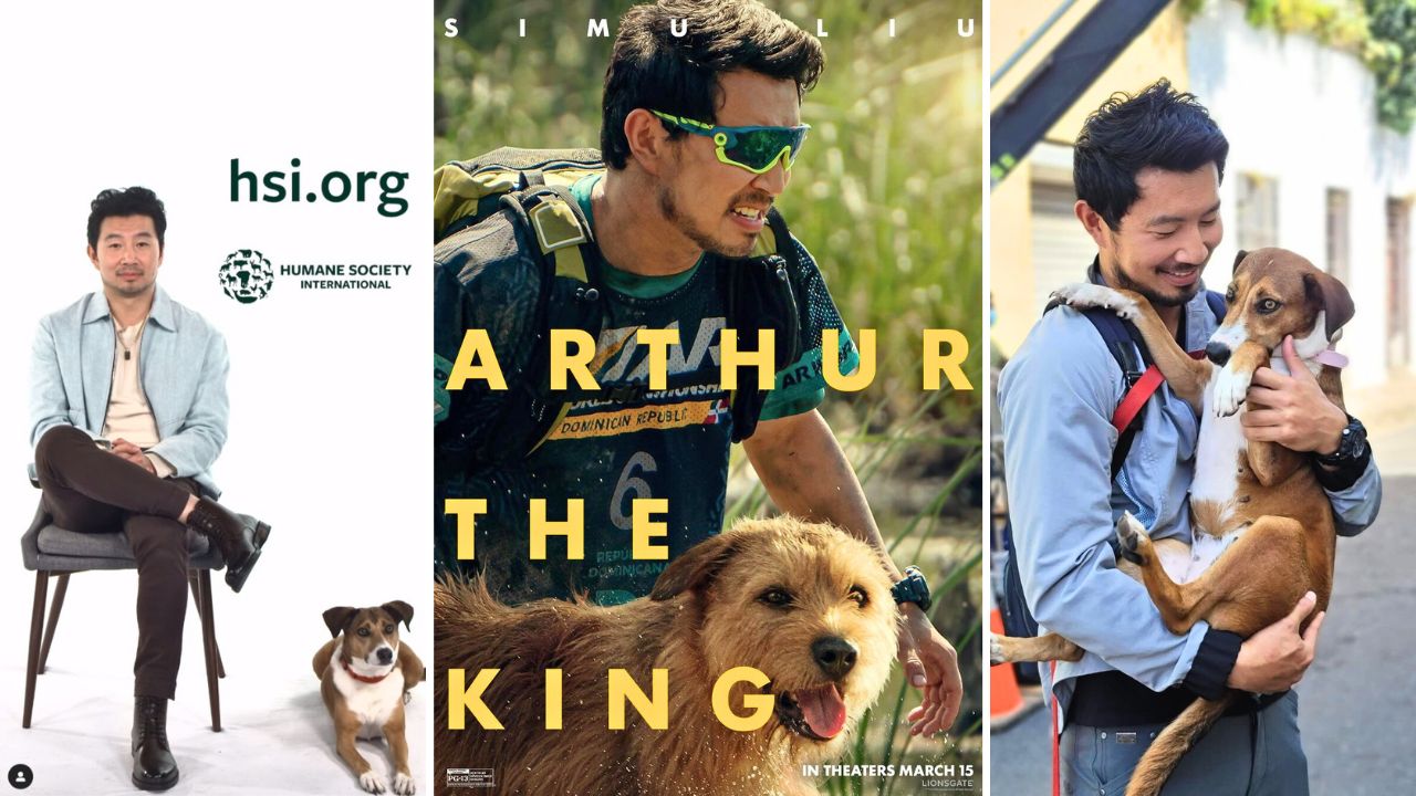 Simu Liu Adopted a Background Dog Actor from Arthur the King Movie