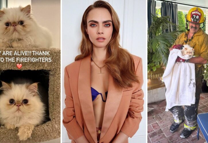 Supermodel Cara Delevingne’s Cats Saved From Devastating Mansion Fire That She Thought Had Killed Them