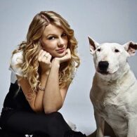 Taylor Swift's pet Bullseye (Target's dog mascot)