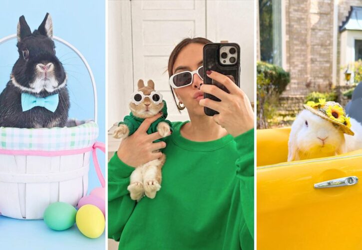 The Top 10 Bunny Influencers on Instagram