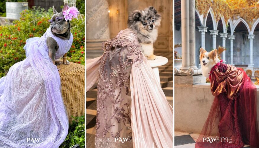 A Look at Luxurious Custom Canine Couture by Pawstyle