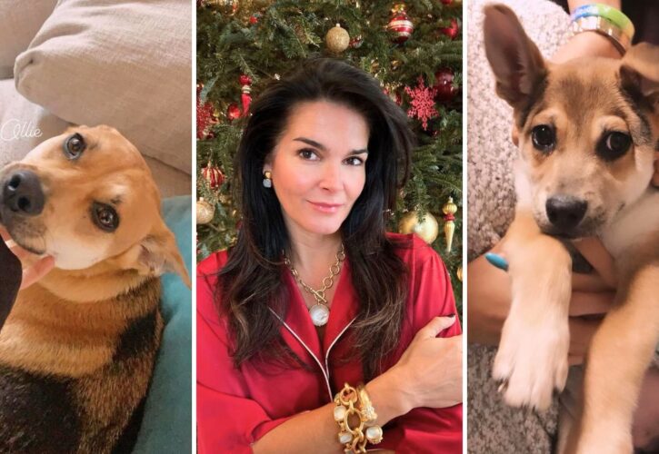 Angie Harmon Shares Hopeful Messages After Her Rescue Dog Is Shot and Killed by an Instacart Driver
