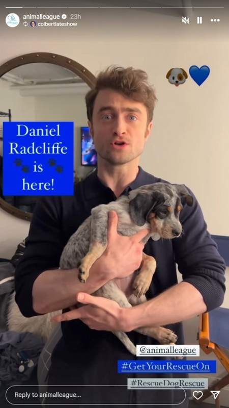 Daniel Radcliffe promoting rescue dog adoption with North Shore Animal League America