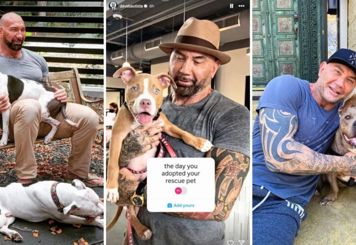 Dave Bautista Promotes Dog Adoptions and Rescue Centers for 'Adopt a Shelter Pet Day'