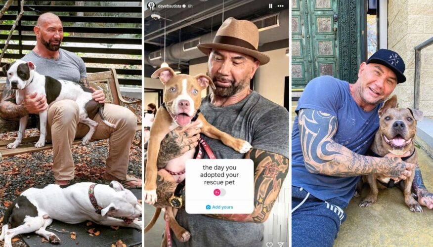 Dave Bautista Promotes Dog Adoptions and Rescue Centers for ‘Adopt a Shelter Pet Day’
