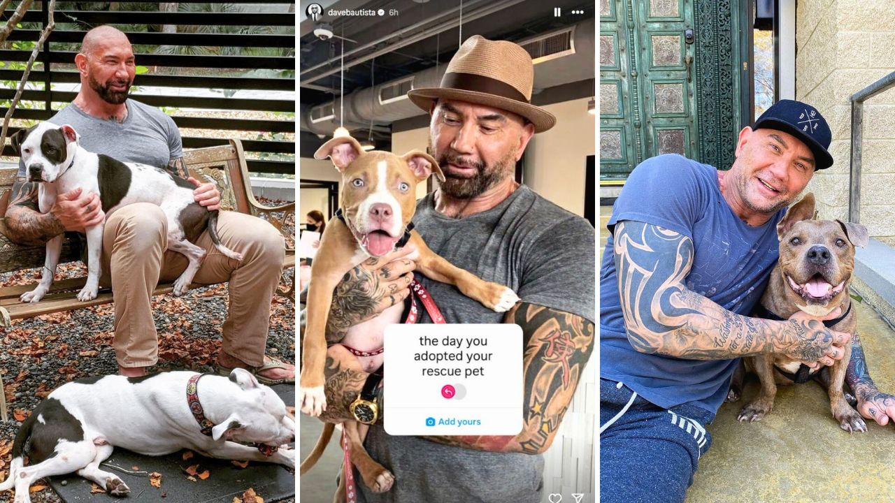 Dave Bautista Promotes Dog Adoptions and Rescue Centers for Adopt a Shelter Pet Day