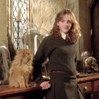 Emma Watson's pet Crookshanks from 'Harry Potter'