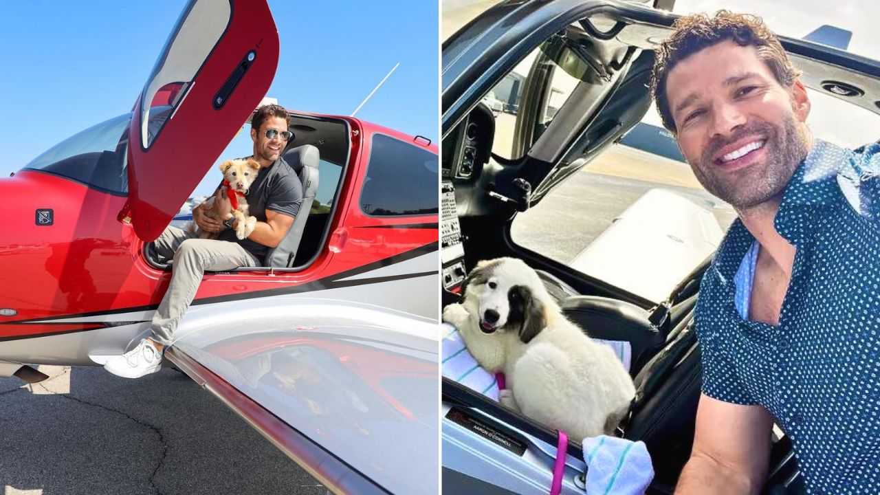 Hallmark Movie Star Aaron O Connell Personally Flies Rescue Dogs to the Forever Homes