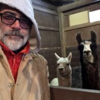Jeffrey Dean Morgan's pet Llamas and Alpacas