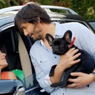 Keanu Reeves' pet Otto (Monkey the dog from the movie 'Knock Knock')