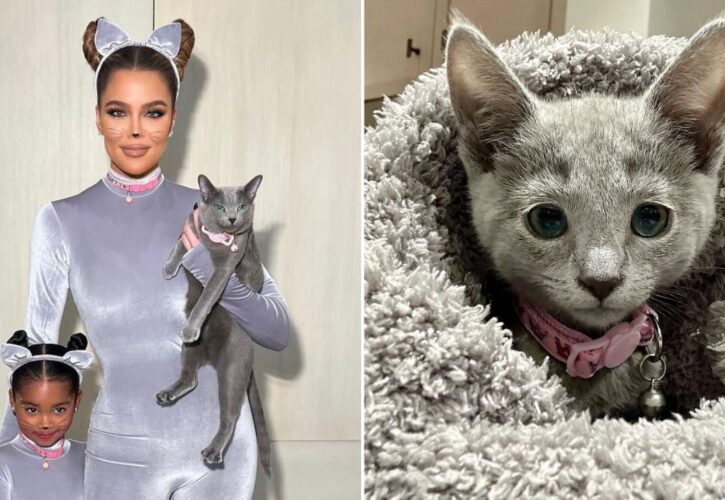 Khloe Kardashian Gets a Second Kitty for Her Daughter’s Birthday