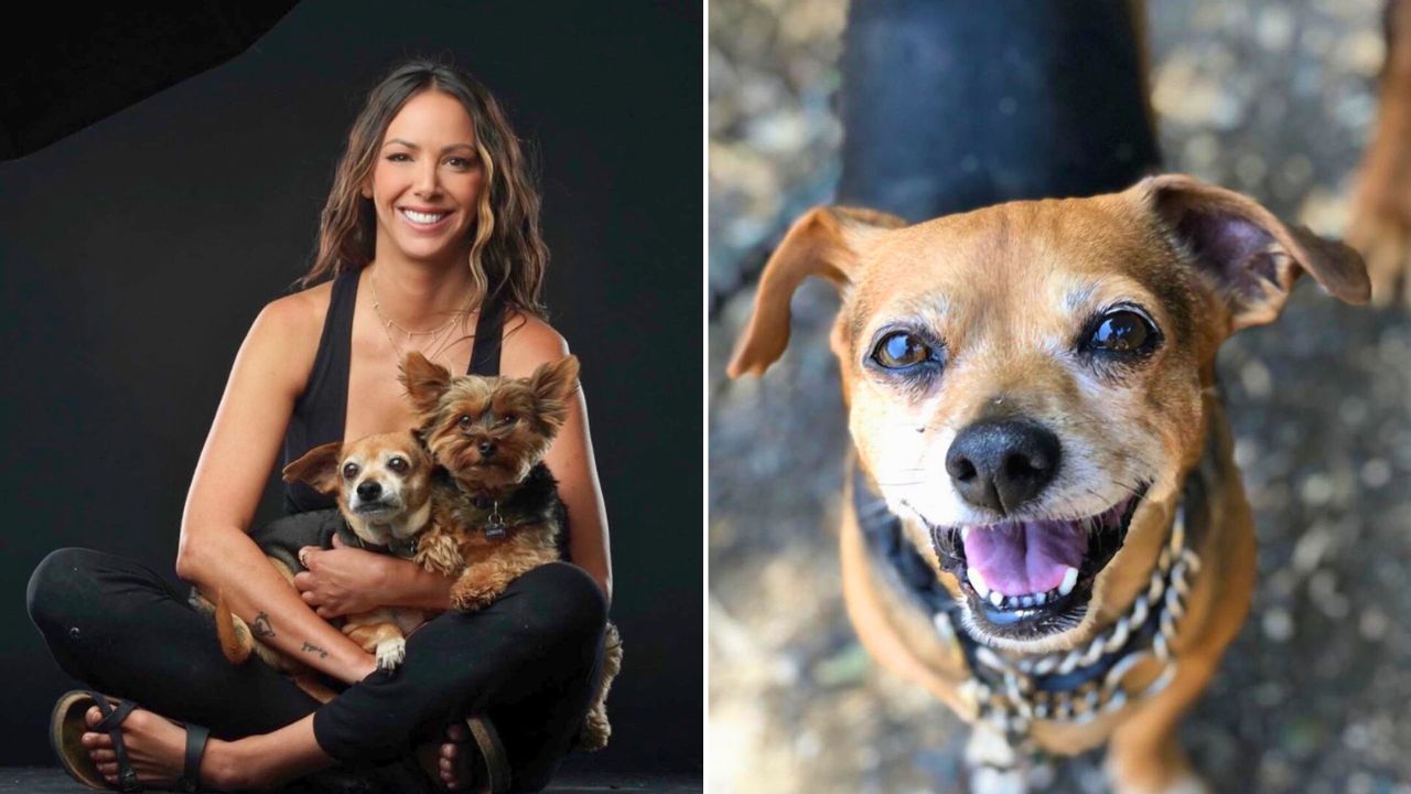 Kristen Doute Shares Her Rescue Pup Bowie Has Tragically Passed Away