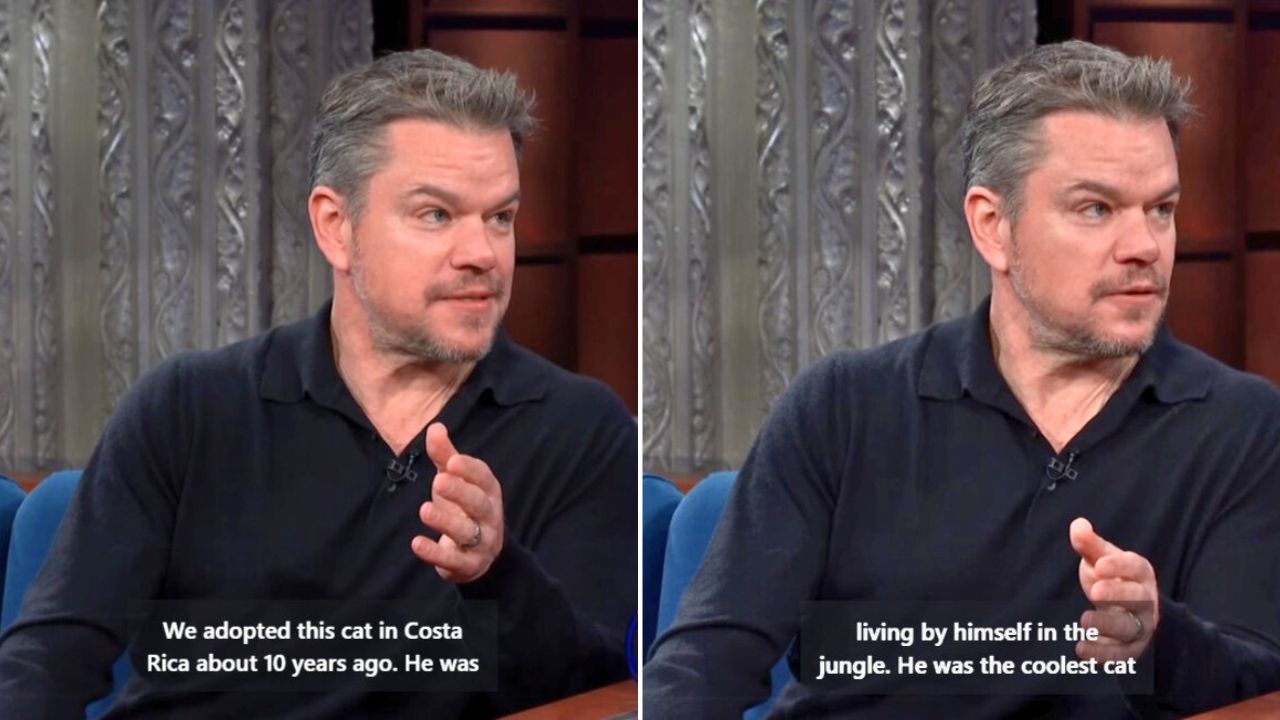 Matt Damon tells the story of adopting a cat from Costa Rica