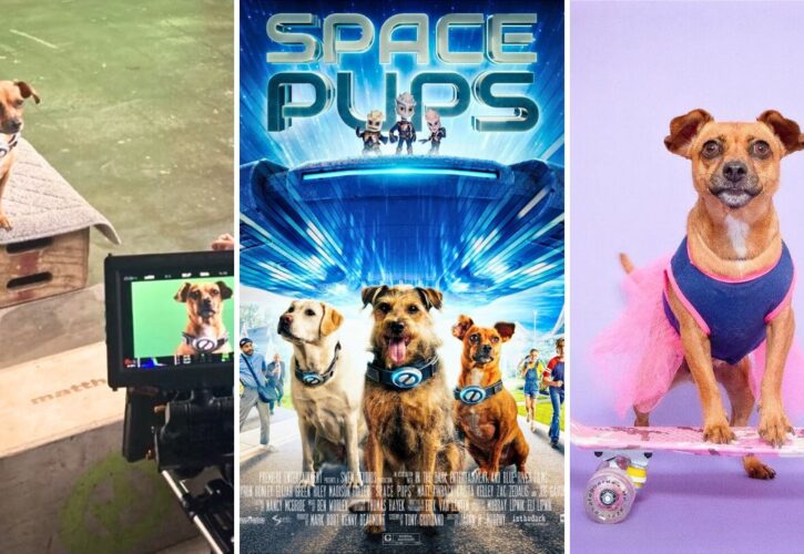 Meet Salsa, Rescue Dog and Star of the Movie 'Space Pups'