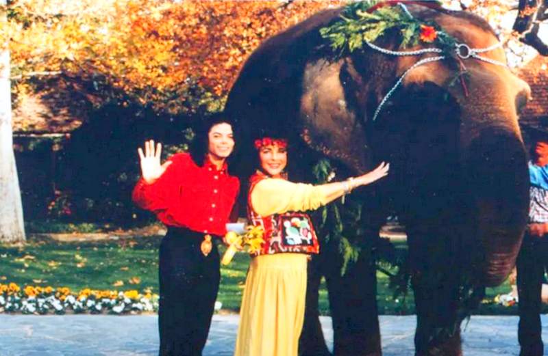Michael Jackson pet elephant named Gypsy