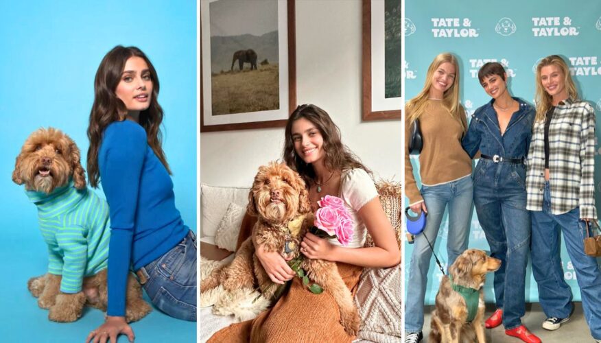 Model Taylor Hill Launches ‘Tate & Taylor’ Pet Brand in Memory of Her Late Dog