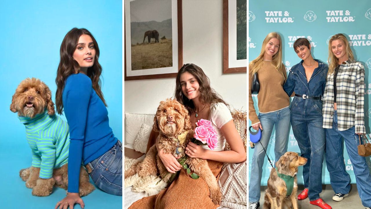 Model Taylor Hill Launches Tate and Taylor Pet Brand in Memory of Her Late Dog