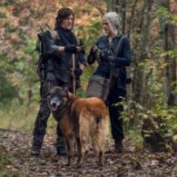 Norman Reedus' pet Seven (Dog from 'The Walking Dead' TV Series)