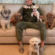 Orlando Bloom's pet Foster Dogs