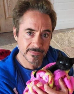Robert Downey Jr. Pets