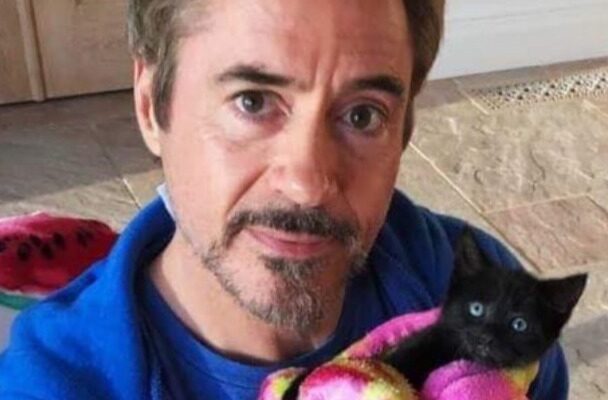 Robert Downey Jr. Pets