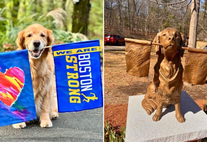 Statue of the Official Boston Marathon Dog Has Been Unveiled, After He Passed away Last Year