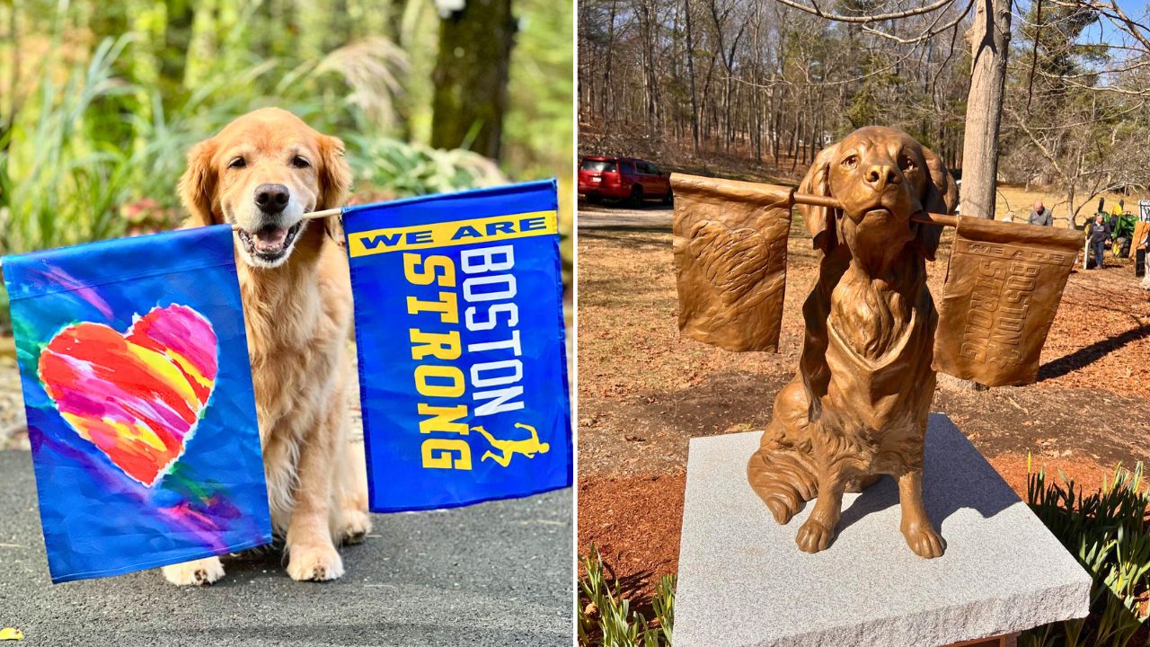 Statue of Spencer the Boston Marathon dog