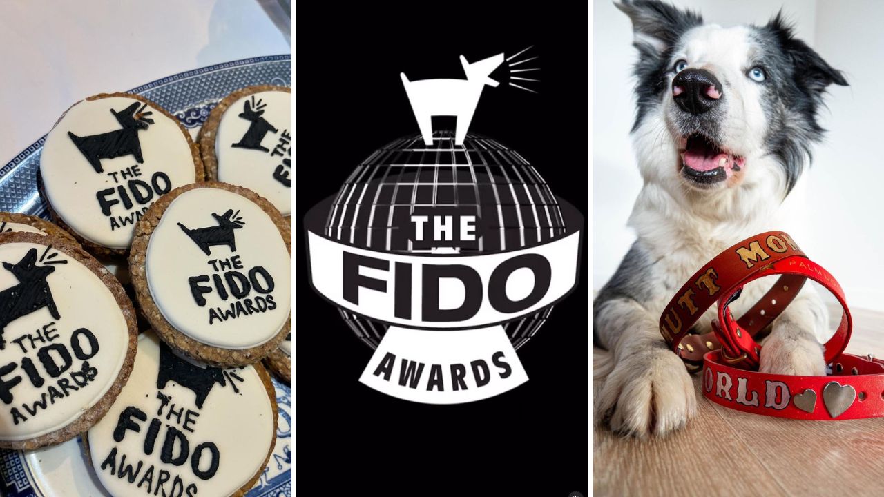 The Fido Awards 2024 The Oscars for Canine Actors