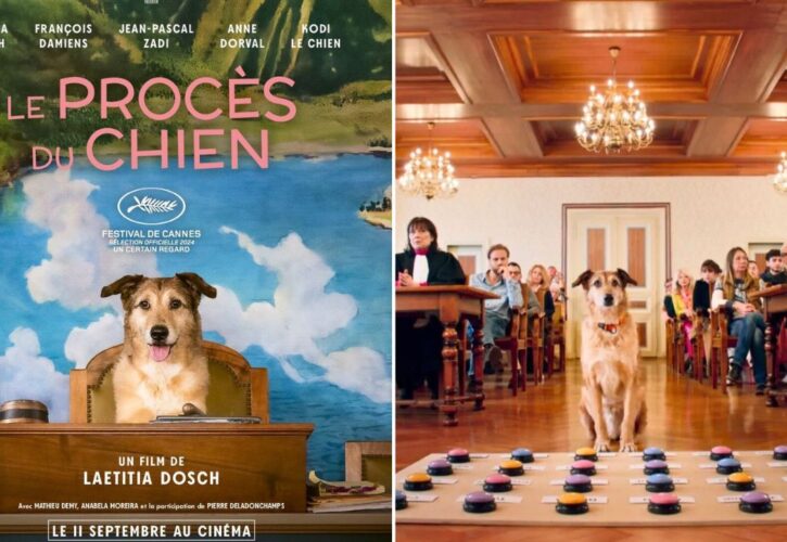 “Dog On Trial” with Rescued Canine Actor, Kodi, to Premiere at Cannes Film Festival