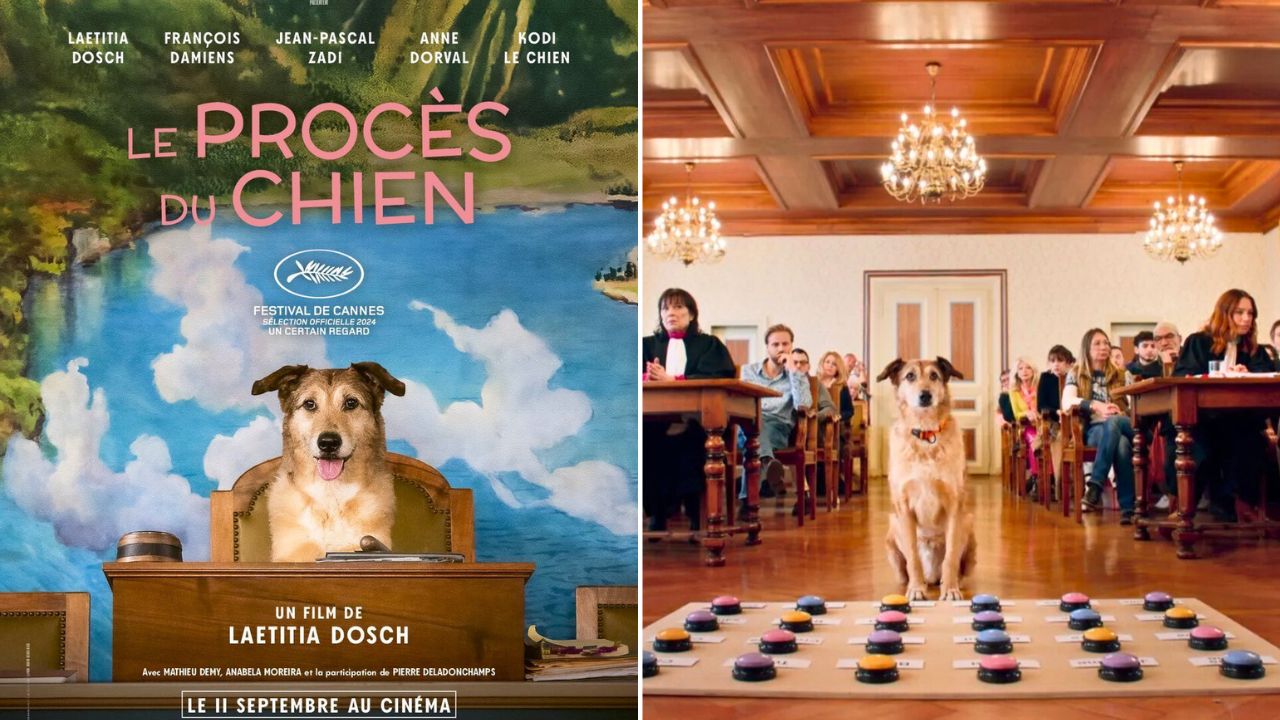 Dog On Trial with canine actor Kodi to premier at Cannes Film Festival