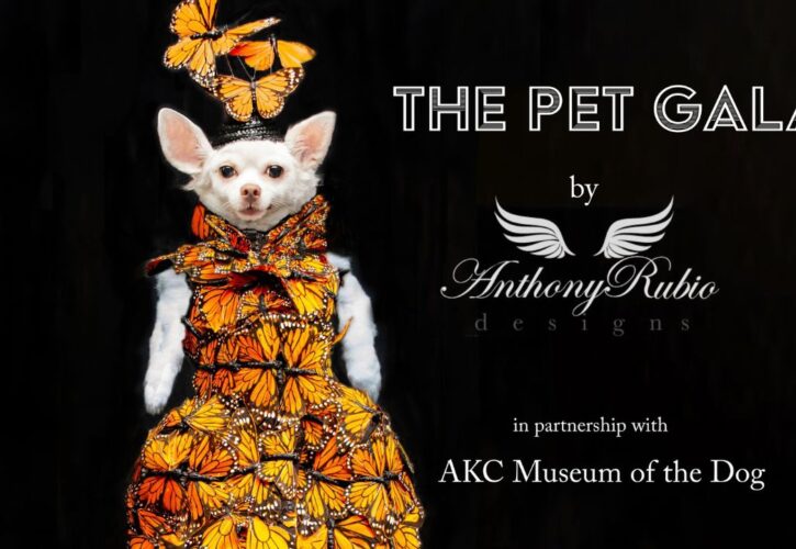 Forget the Met Gala, the First PET GALA Will Take Place in NYC on May 20th