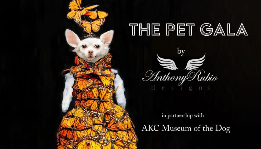 Forget the Met Gala, the First PET GALA Will Take Place in NYC on May 20th