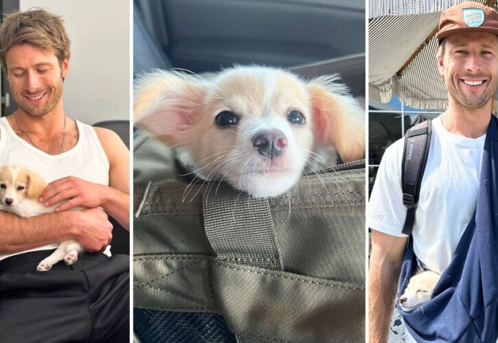 Glen Powell’s Rescue Dog Brisket Escaped on a Flight - And Became a Mini Celebrity!