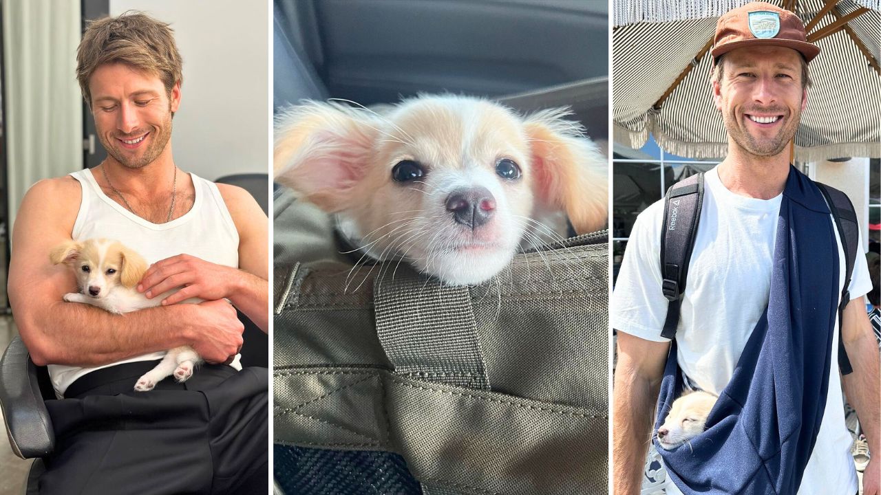Glen Powell Rescue Dog Brisket Escaped on a Flight