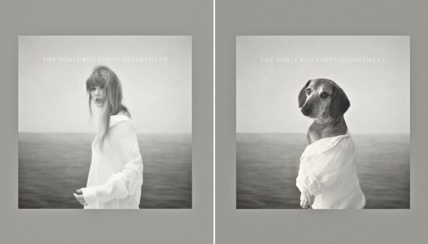 Interview With Lucas the Dog: The Only Dog Taylor Swift Respects as Much as a Cat