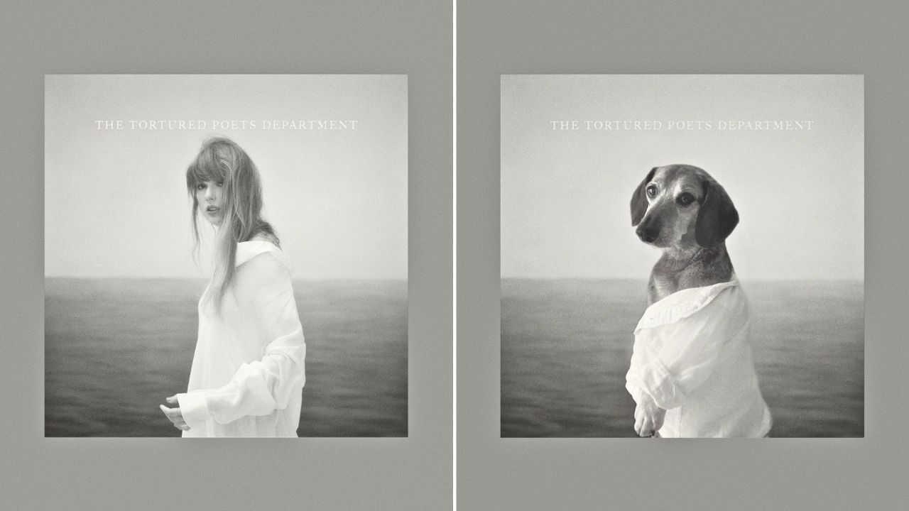 Interview With Lucas the Dog The Only Dog Taylor Swift Respects as Much as a Cat