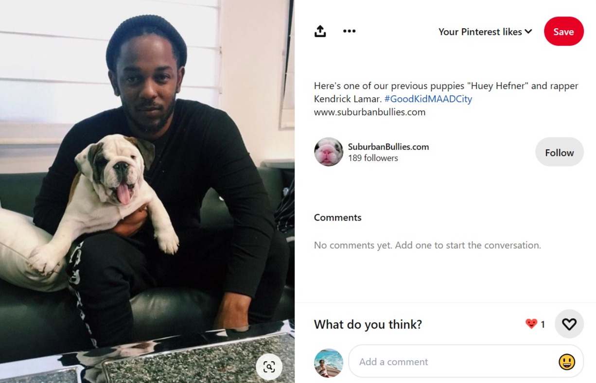 Kendrick Lamar holding his English Bulldog puppy Huey Hefner