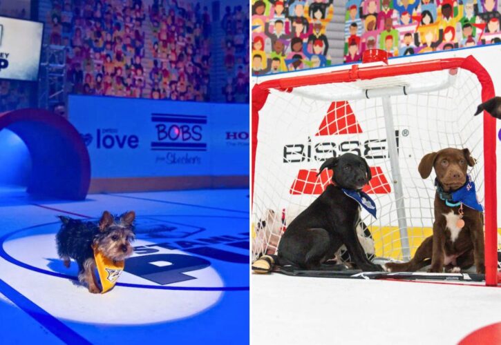 NHL Hosting the First “Stanley Pup” Rescue Dog Hockey Tournament