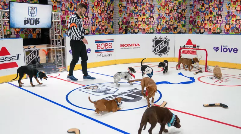 NHL Stanley Pup charity event